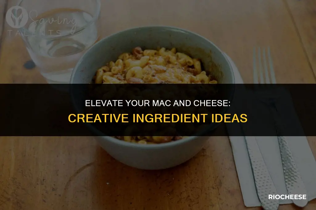 what to put in macaroni and cheese