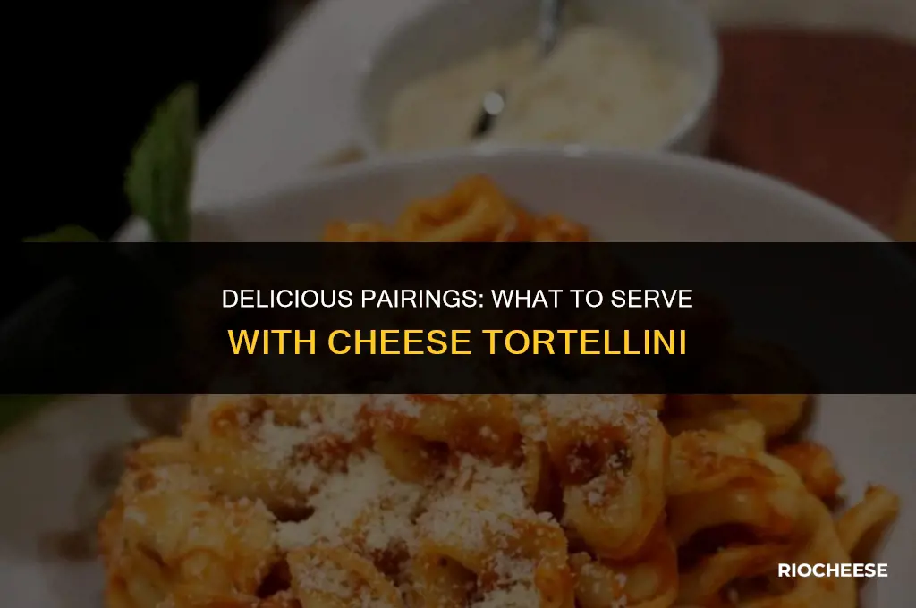 what to serve with cheese tortellini