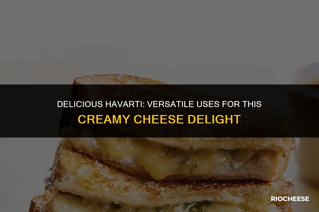 what to use havarti cheese for