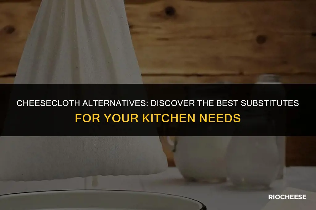 what to use instead of cheese cloth