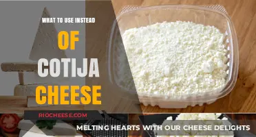 Exploring Flavorful Alternatives to Cotija Cheese in Your Recipes