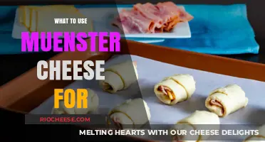 Delicious Ways to Enjoy Muenster Cheese in Your Meals
