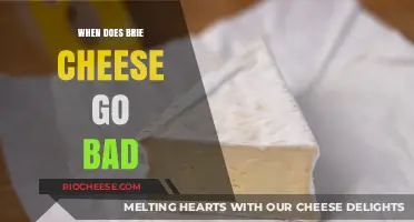 The Shelf Life of Brie: Signs Your Cheese Has Gone Bad
