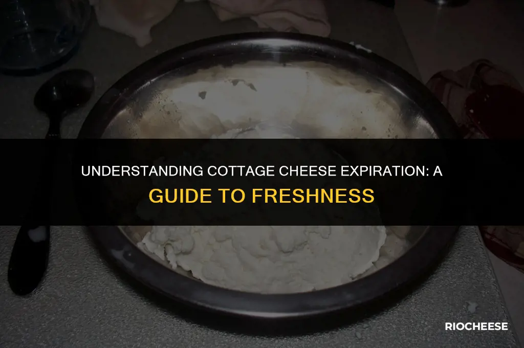 when does cottage cheese expire
