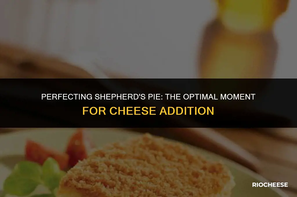 when to put cheese on shepherd