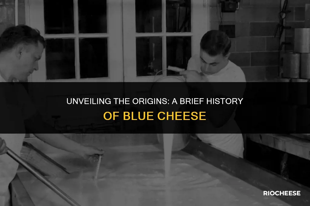 when was blue cheese invented