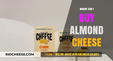 Discover the Best Places to Buy Almond Cheese: A Comprehensive Guide