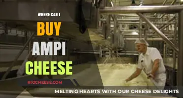 Discover the Best Places to Buy Ampi Cheese: A Comprehensive Guide