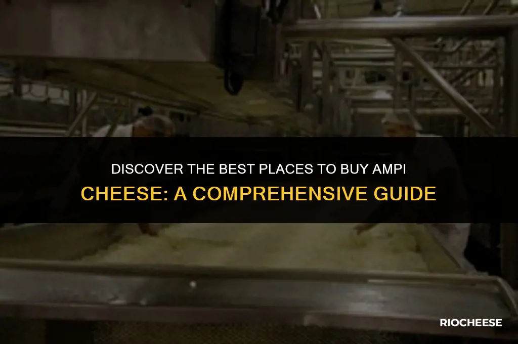 where can i buy ampi cheese