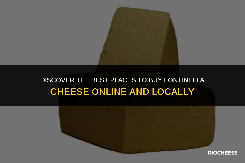 where can i buy fontinella cheese