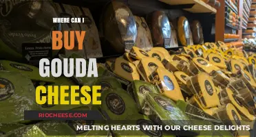 Discover the Best Places to Buy Gouda Cheese Near You