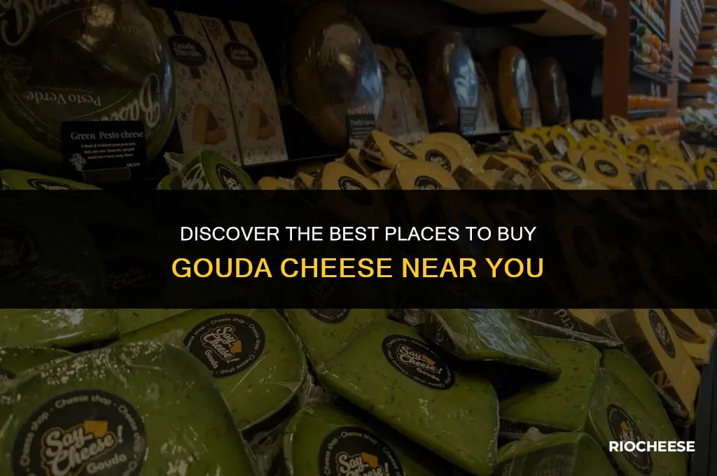 where can i buy gouda cheese