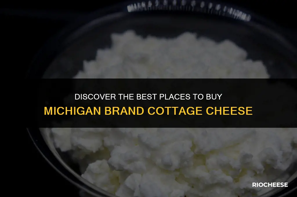 where can i buy michigan brand cottage cheese