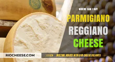 Discover the Best Places to Buy Authentic Parmigiano Reggiano Cheese