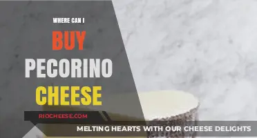 Discover the Best Places to Buy Pecorino Cheese: A Comprehensive Guide