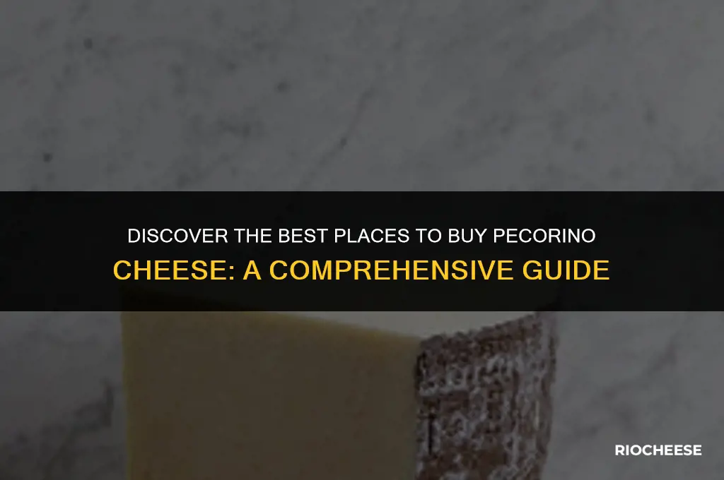 where can i buy pecorino cheese
