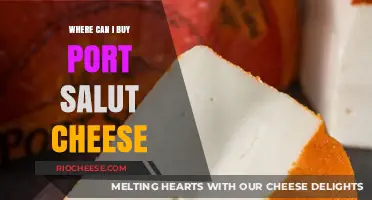 Discover the Best Places to Buy Port Salut Cheese Online and Locally