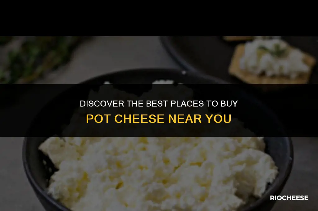 where can i buy pot cheese