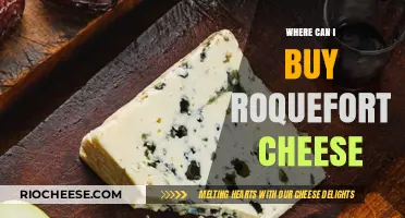 Discover the Best Places to Buy Authentic Roquefort Cheese