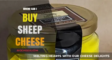 Discovering the Best Places to Buy Sheep Cheese: A Comprehensive Guide