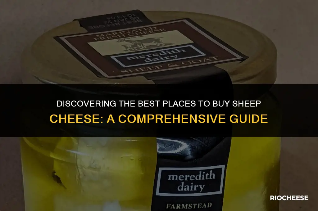 where can i buy sheep cheese