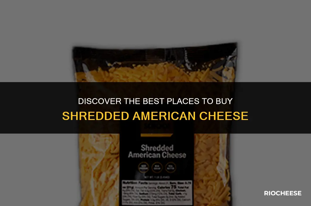 where can i buy shredded american cheese