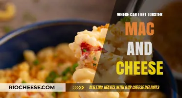 Savor the Best: Top Spots for Lobster Mac and Cheese