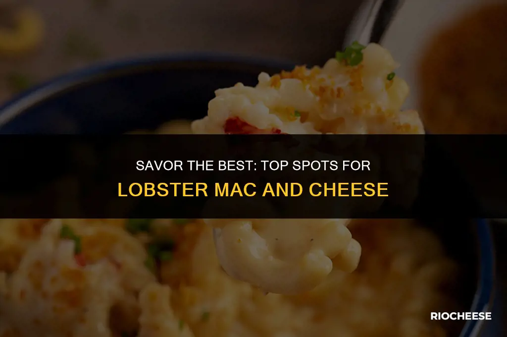 where can i get lobster mac and cheese
