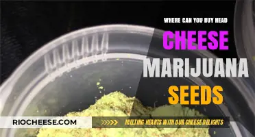 Discover the Best Sources for Head Cheese Marijuana Seeds Online