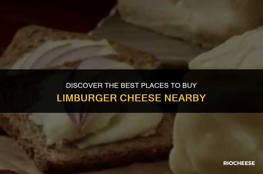 where can you buy limburger cheese