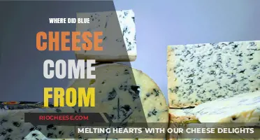 Unraveling the Pungent Past: Origins of Blue Cheese