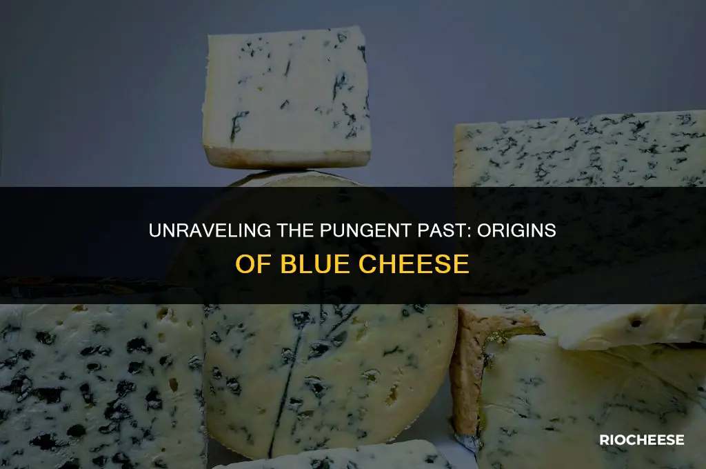 where did blue cheese come from