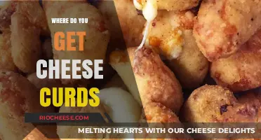 Discovering the Best Spots to Find Fresh Cheese Curds Near You