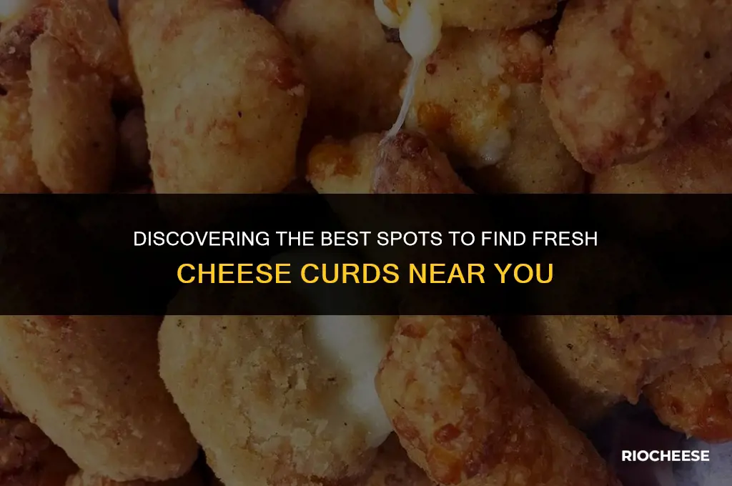 where do you get cheese curds