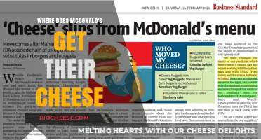 The Secret Behind McDonald's Iconic Cheese: A Global Quest