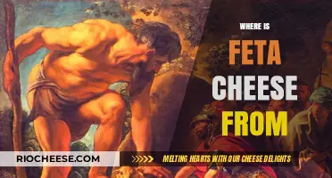 Exploring the Origins of Feta Cheese: A Journey Through Time and Taste