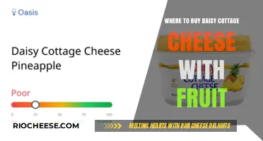 Delicious Daisy Cottage Cheese with Fruit: Your Ultimate Buying Guide