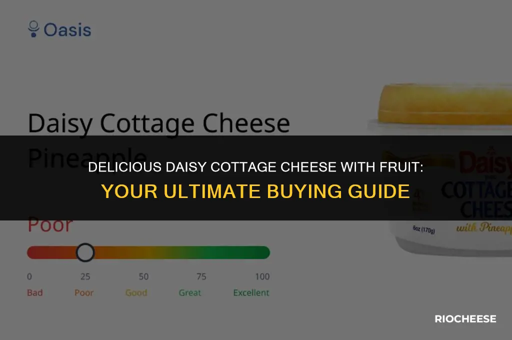 where to buy daisy cottage cheese with fruit