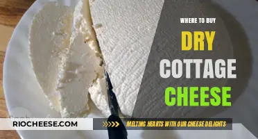 Discover the Best Places to Buy Dry Cottage Cheese