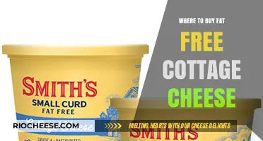 Where to Find Fat-Free Cottage Cheese: A Shopper's Guide