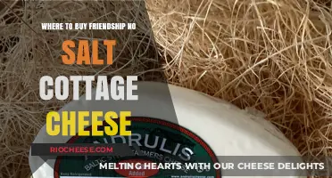Where to Find No-Salt Cottage Cheese for Your Friendship Goals