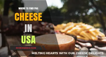 Discovering the Best Places to Buy Pag Cheese in the USA