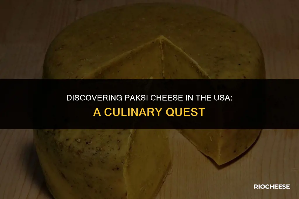 where to find paksi cheese in usa