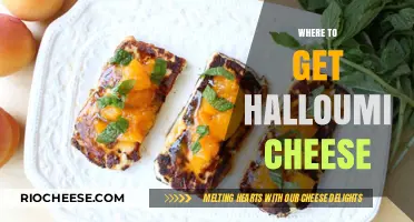 Discover the Best Spots to Find Halloumi Cheese Near You