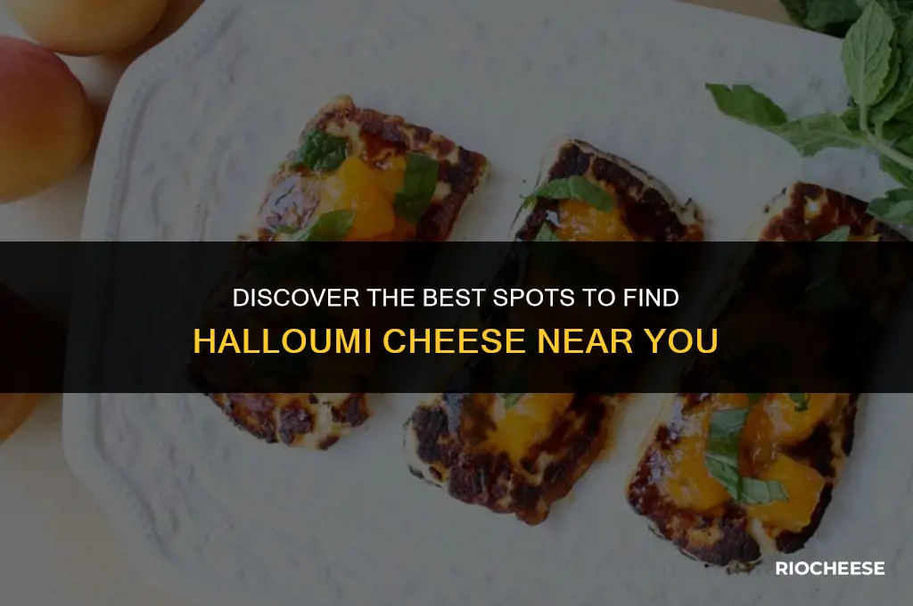 where to get halloumi cheese