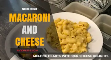 Delicious Macaroni and Cheese: Top Spots to Satisfy Your Cravings