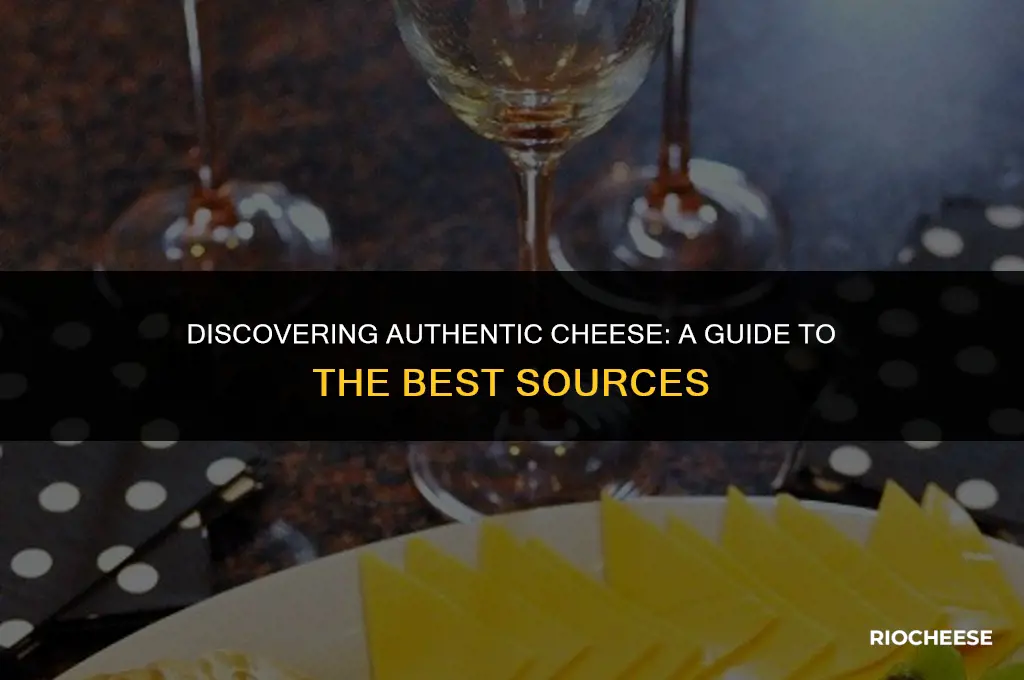 where to get real cheese