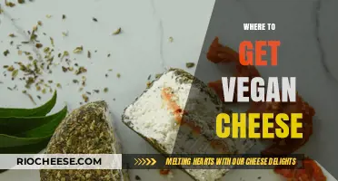 Discover the Best Spots for Vegan Cheese: A Comprehensive Guide