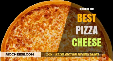 The Ultimate Guide to Choosing the Perfect Pizza Cheese