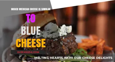 Exploring Mexico's Blue Cheese Alternatives: A Flavorful Journey